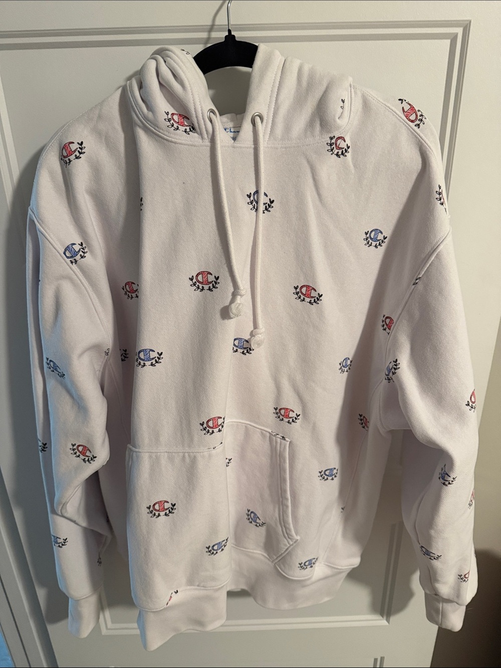 Mens Double Weave Champion Hoodie